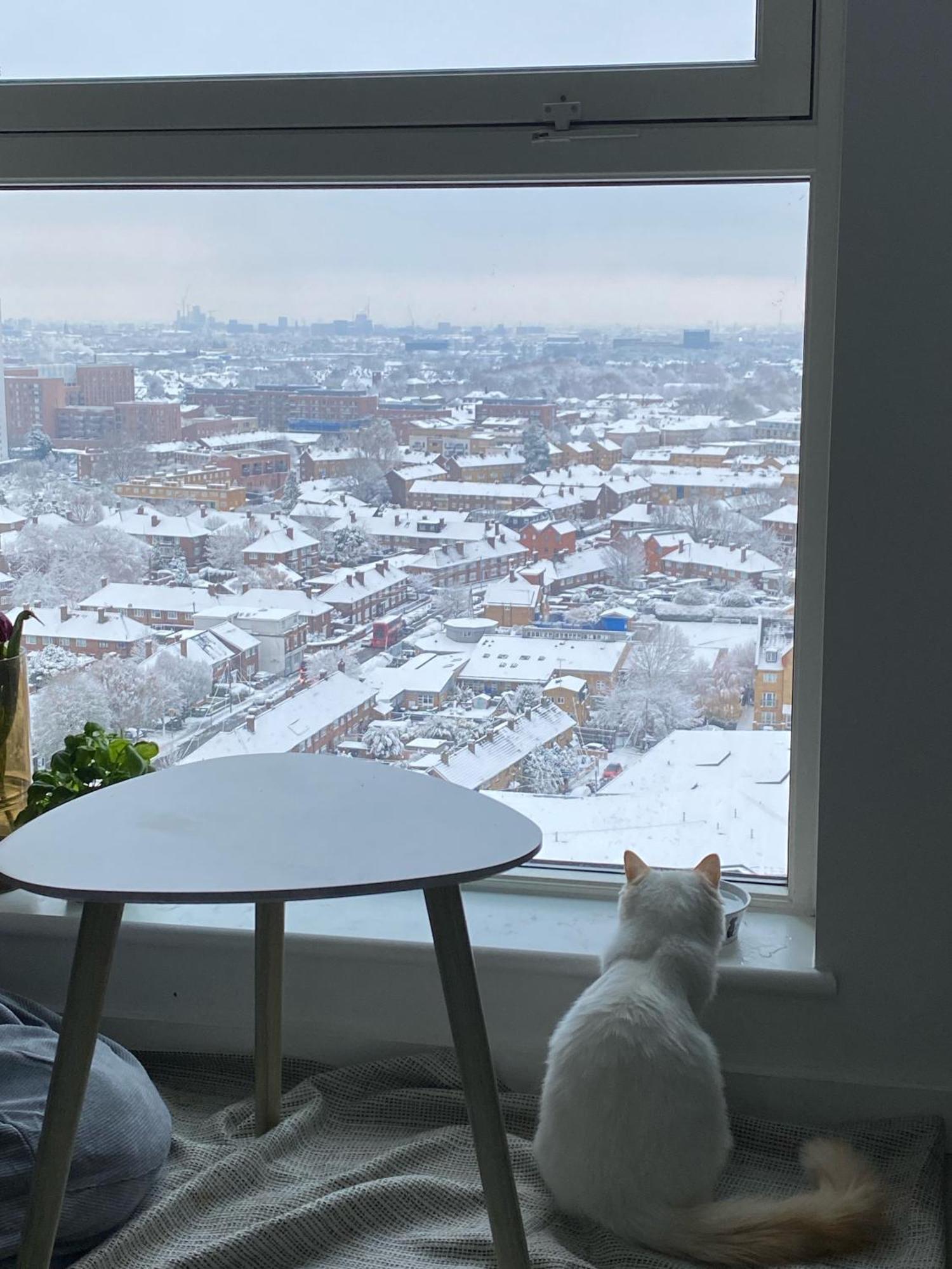 런던 Cozy Flat With Stunning Views 아파트 외부 사진