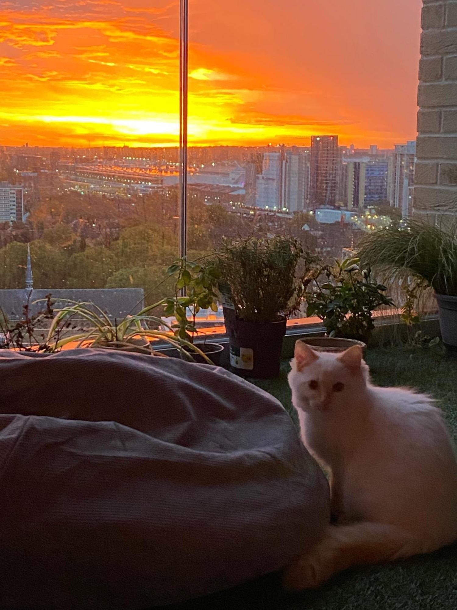 런던 Cozy Flat With Stunning Views 아파트 외부 사진