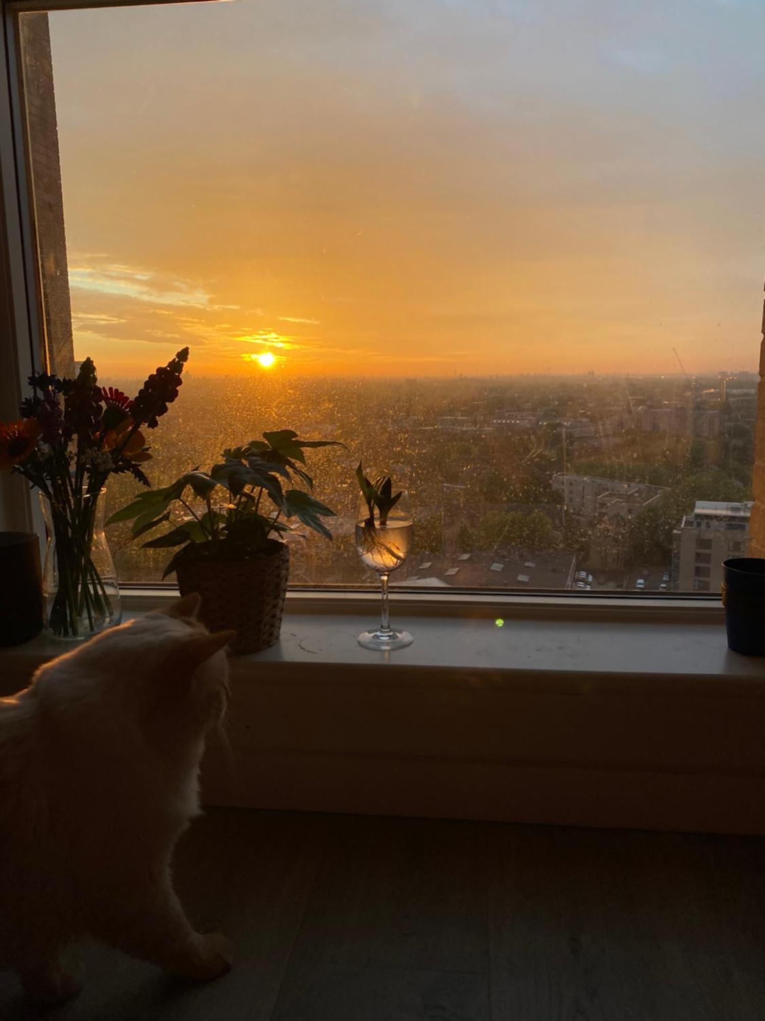 런던 Cozy Flat With Stunning Views 아파트 외부 사진